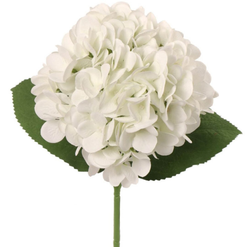 Hortensia Russ