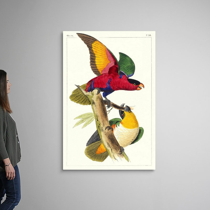 «Lemaire Parrots I», art mural sur toile, Toile tendue, H 60 po x l 40 po x P 1 po