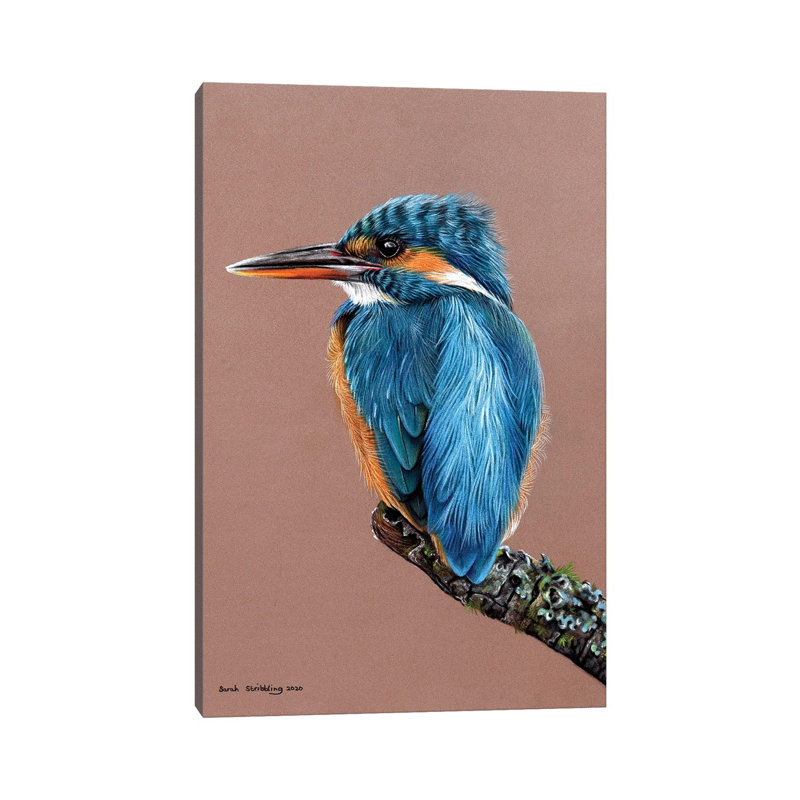 Kingfisher Pastel Drawing by Sarah Stribbling - Wrapped Canvas Gallery-Wrapped Canvas Giclée, 45.72 cm H x 30.48 cm W