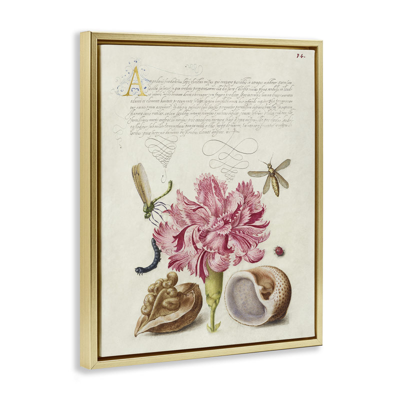 "Antique Flower & Snails", art mural flottant encadré par June Erica Vess, Cadre flottant métallique doré, H 31 po x l 25 po