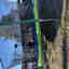 Photos des clients 1 de 1