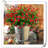 Dahlia Arrangement-1846264904