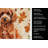 Toy Red Poodle Heirloom Fall Kitchen Towel-1218231527