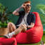 icon Recliner Bean Bag Chair & Pouffe-34474745