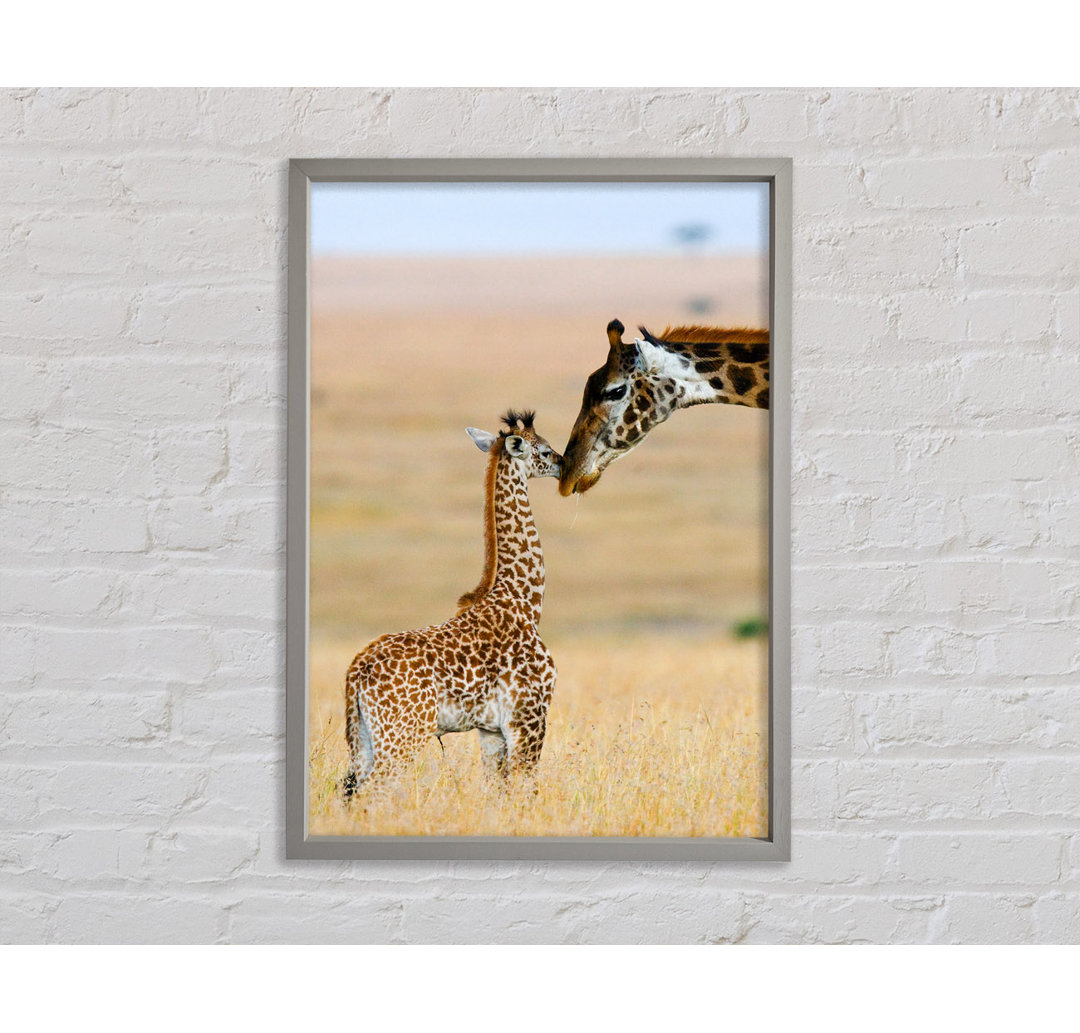 Baby Giraffe Love - Einzelner Bilderrahmen Kunstdrucke auf Leinwand