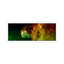 Stars Emerging From Orion's Head (Spitzer Space Observatory) - Floater Frame Panoramic Print on Canvas-701891638-701891637
