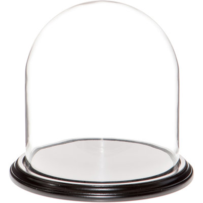 Vucciria 9.75" x 10" Glass Display Dome Cloche