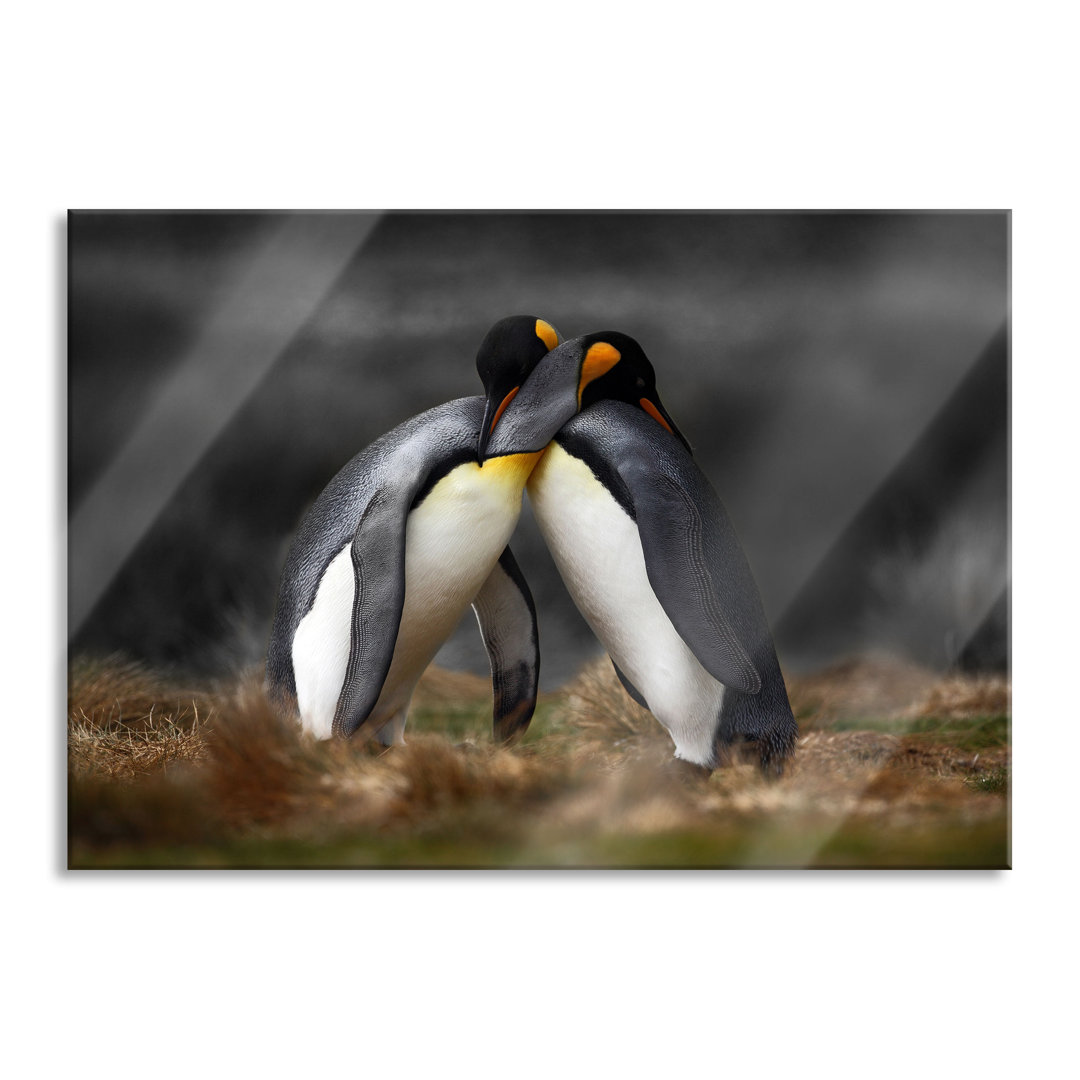 Glasbild Pinguine in der Antarktis