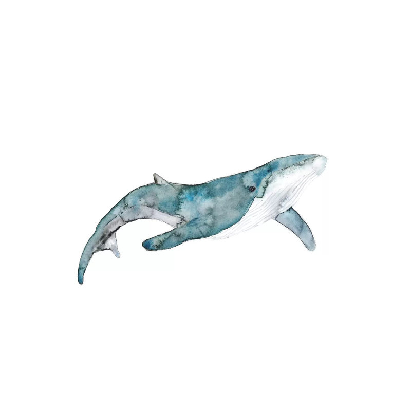 Whale by ANDA Design - Wrapped Canvas Gallery-Wrapped Canvas Giclée, 101.6 cm H x 66.04 cm W x 1.91 cm D