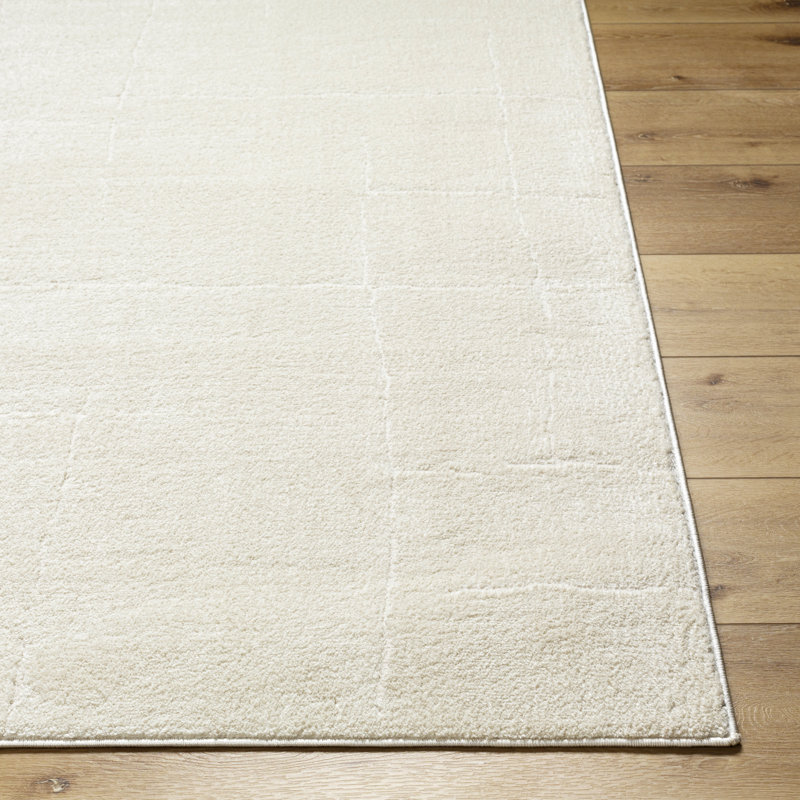 Caireann Indoor Rug, Runner 2'8" x 7'3"