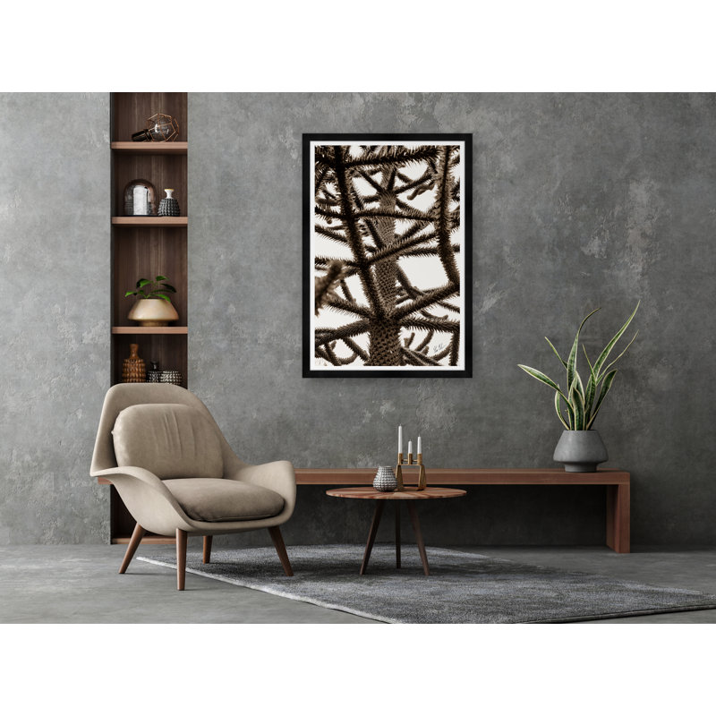 Structural Evergreen In Sepia Print by Tim Klein