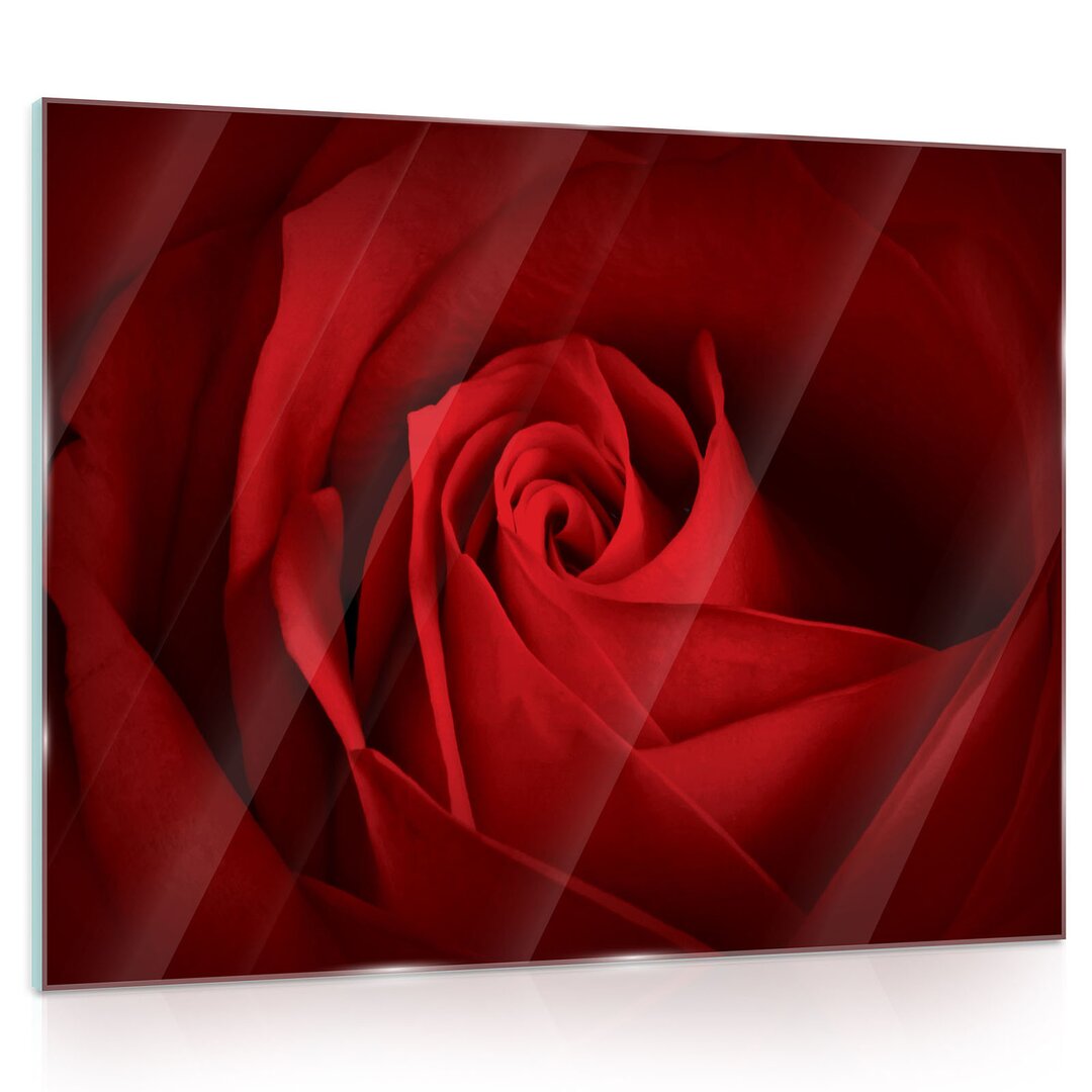 Glasbild Rose