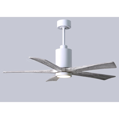 Patricia LED Downrod Ceiling Fan