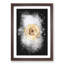 Pale Yellow Rose - Picture Frame Graphic Art Print-56857007-56857008