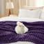 Bedsure Flannel Fleece Blanket for Girls, 300 GSM Soft and Cozy Blanket for Dorm & Home Decor, All-Season Gift-456233765-456233766