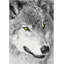 Botello Animal Print Area Rug-1210368641