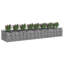 Planter-1473495515
