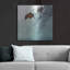 "" "Par Nicholas Bell, photographie-1769384869