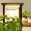 Plant Stand - Set of 6