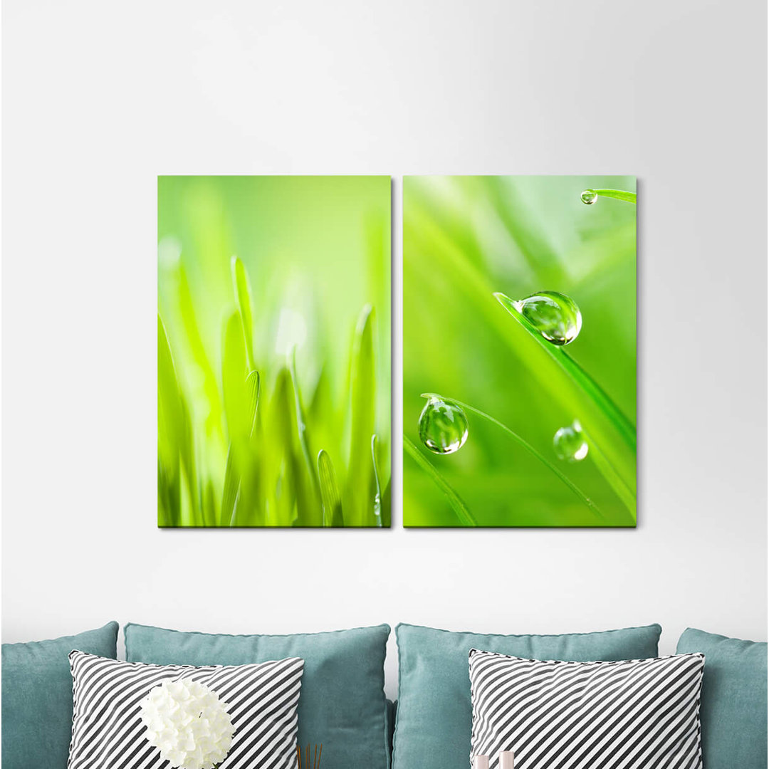 2-tlg. Leinwandbilder-Set - Fotografie „Meadow Grass Green Drops Fresh Morning Dew”