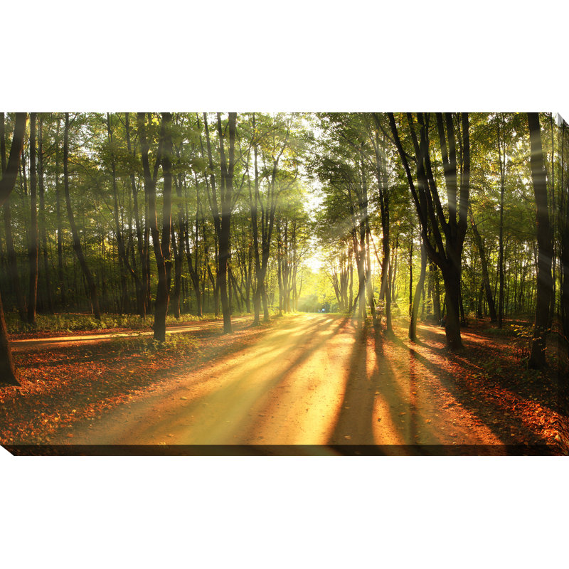 « automne landscap trees », reproduction de photo sur toile tendue, H 24 po x l 40 po x P 1 po