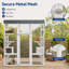 Cat House-1752836524