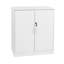 2 -Door 2 -Shelf Storage Cabinet