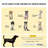 Pet Bed,Elevated Portable Dog Cot