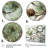 Bird On Pine Tree I - Tree Pine Wall Art-1593974420-1593974419