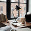Organic Desk Table Lamp