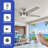 Kylani 54'' Ceiling Fan with LED Lights