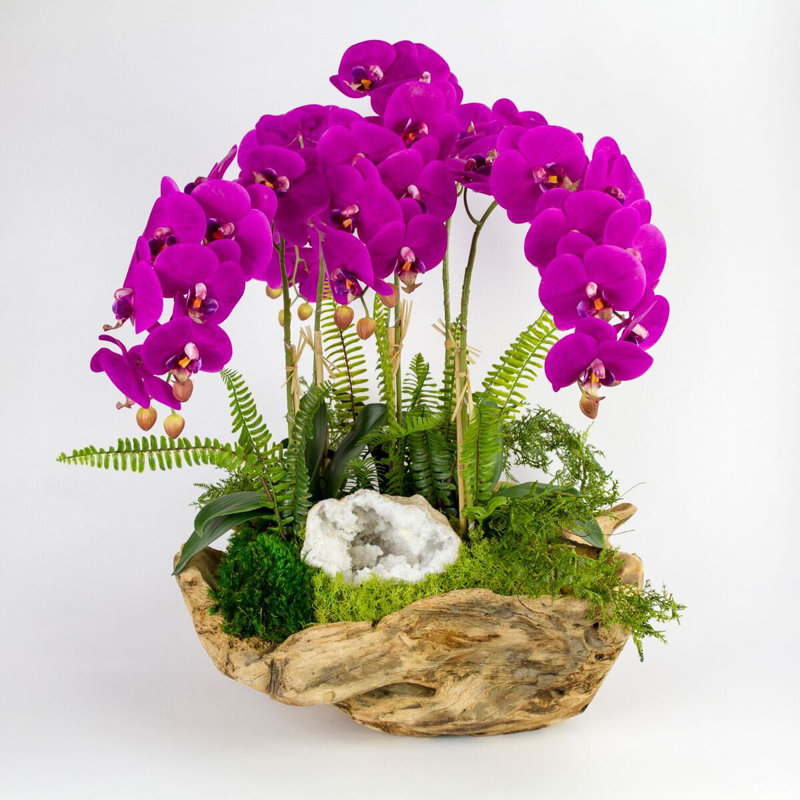 Fuchsia Orchid Centerpiece in Rustic Wooden Planter
