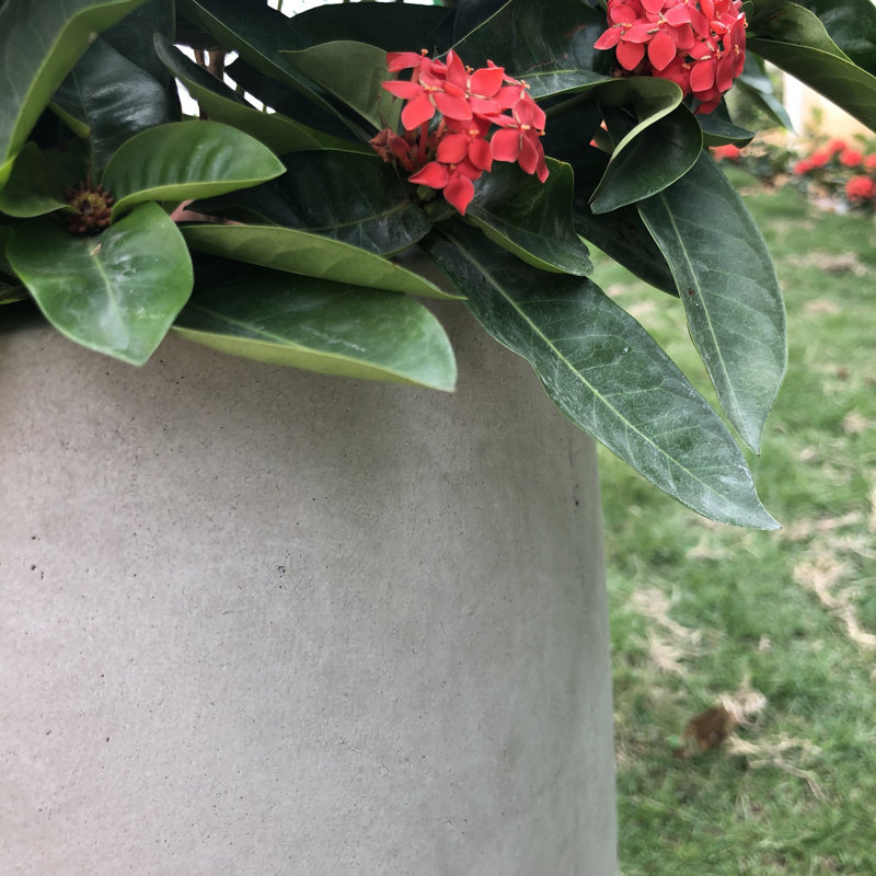 Pot à fleurs en béton Karola, Blanc, H 12 po x l 14 po x P 14 po