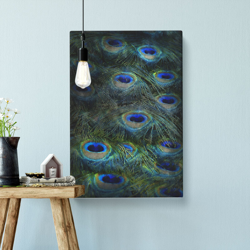 The Feathers Of A Peacock - Wrapped Canvas, 91cm H x 60cm W x 3cm D