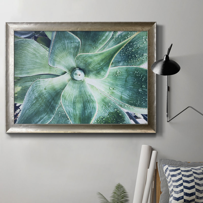 «Green Tropical Succulent VII», reproduction d'art sur toile, H 16 po x l 20 po x P 2,5 po