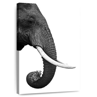 Bramp Elephant Tusk