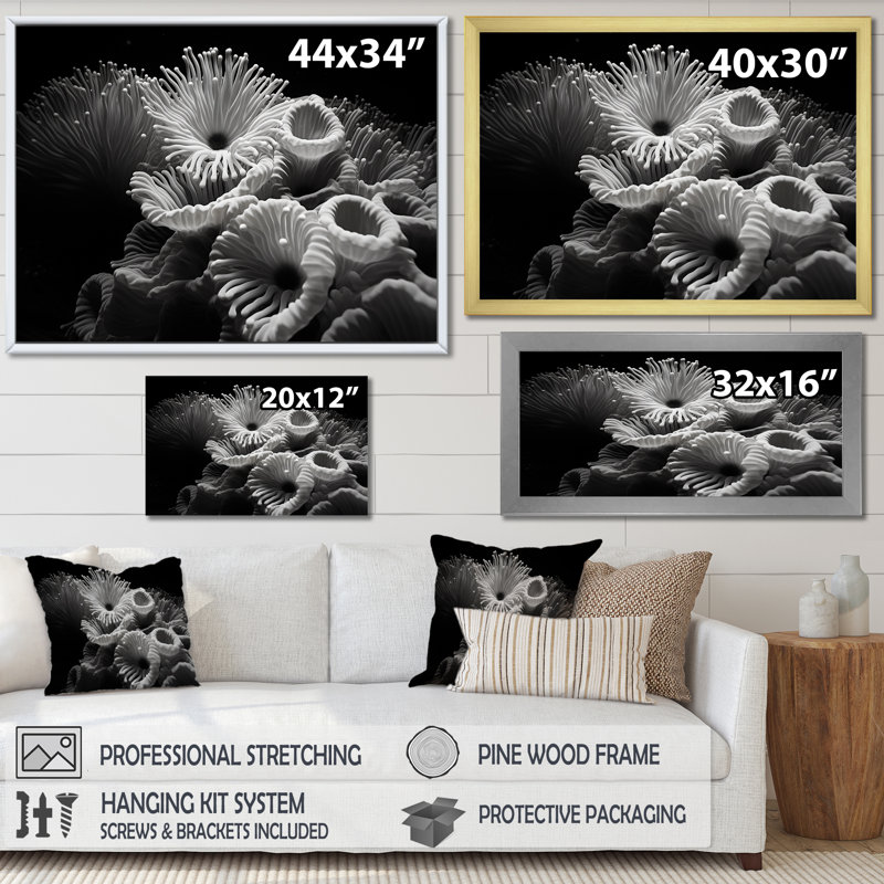 «Black and White Anemoner Color», reproduction d'art sur toile, H 34 po x l 44 po x P 1,5 po, Cadre flottant noir