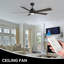 Ventilateur de plafond avec lumière Liandro-1257514113