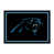 Carolina Panthers