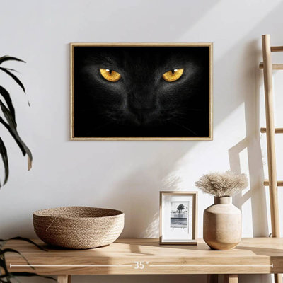 Chat aux yeux jaunes