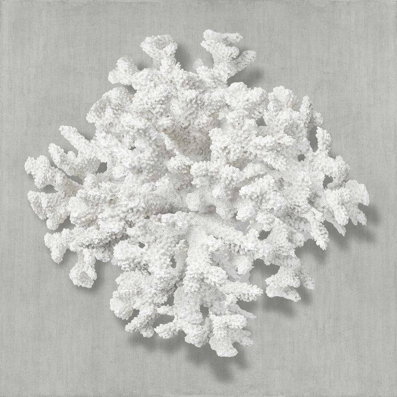 Corail sur gris II - impression sur toile tendue, H 12 po x l 12 po