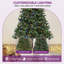 Arbre de Noël épinette pré-éclairé-137890175