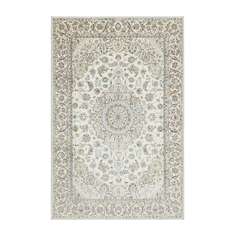 Dankrad Oriental Indoor Rug, Rectangle 2' x 5'