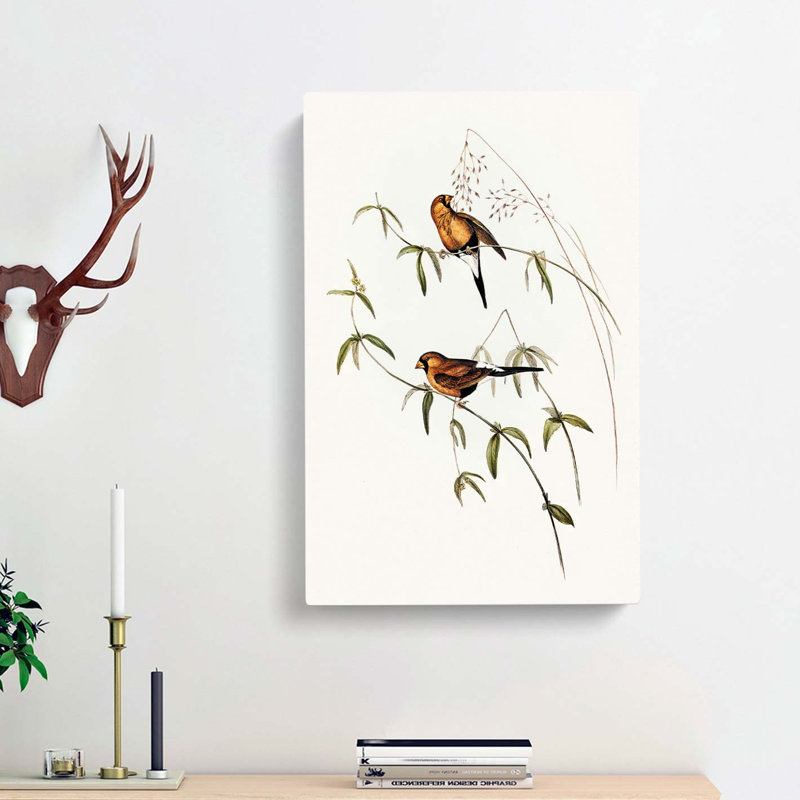 Masked Grass Finch by Elizabeth Gould - Wrapped Canvas Painting, 60cm H x 40cm W x 3cm D