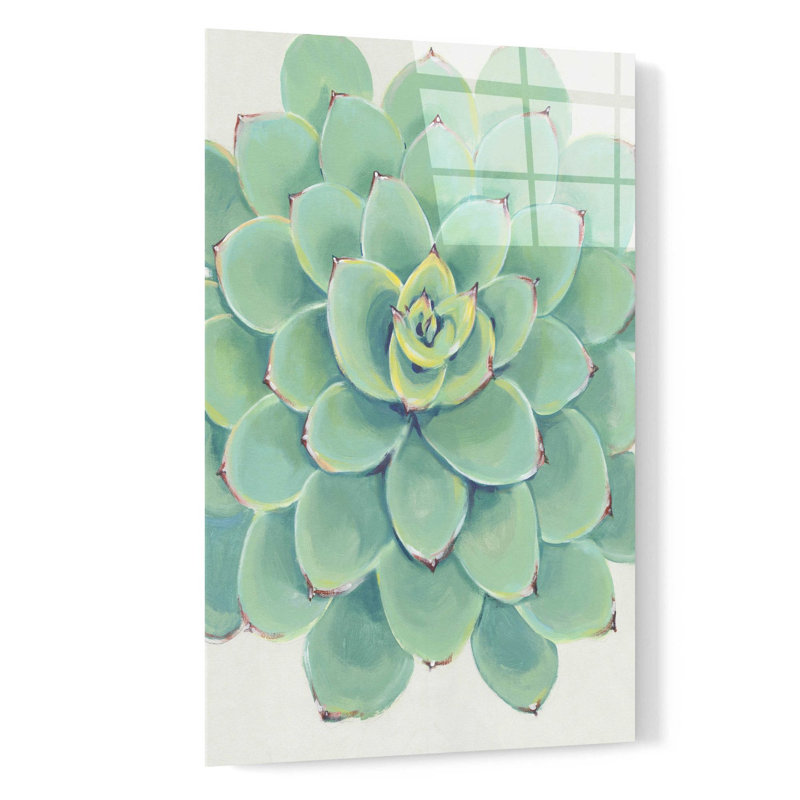 «Pastel Succulent III» par Tim O'Toole, art mural en verre acrylique, H 24 po x l 16 po x P 0,2 po