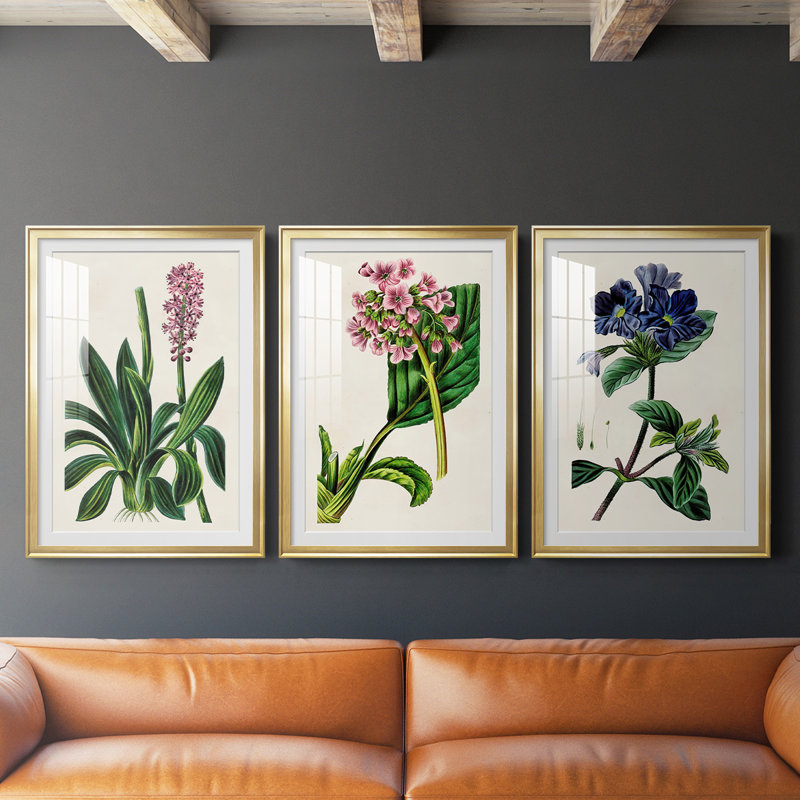 Reproduction encadrée antique de qualité florale II - prête à être accrochée, Cadre doré, H 42,5 po x l 61 po