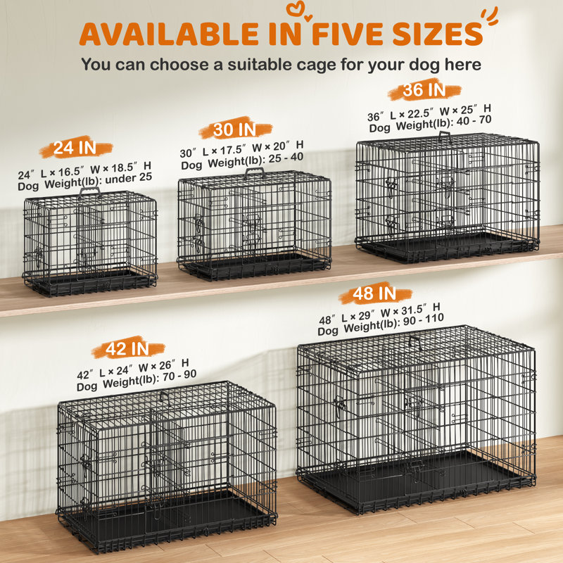 La cage pour chien à portes doubles améliorée comprend un panneau de séparation, Moyen (H 26 po x l 42 po x P 24 po)
