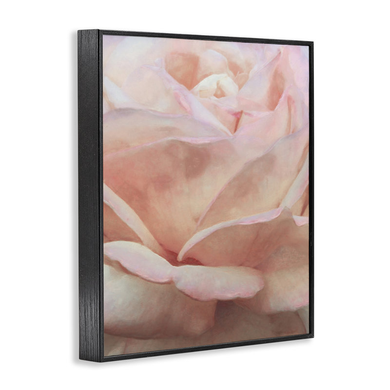 Doux pétales de rose par Alonzo Saunders bg-076, Giclée encadrée noir minuit, H 20 po x l 16 po