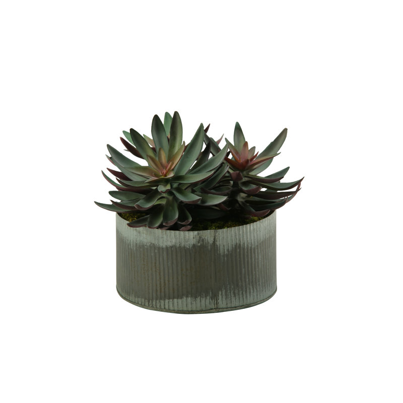 8'' Faux Echeveria Plant in Zinc Planter