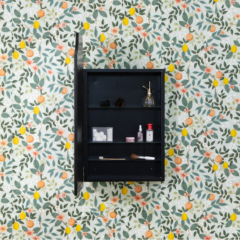 Simone Medicine Cabinet, Recess and Surface Mount,  Black